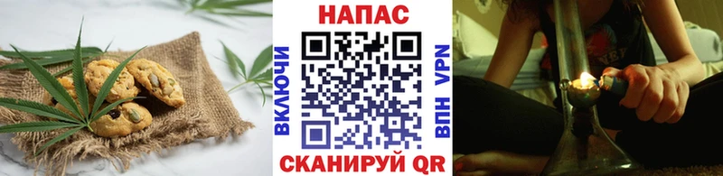как найти закладки  Павловский Посад  гидра как зайти  Cannafood конопля 