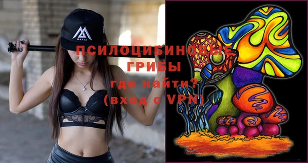 PSILOCYBIN Наволоки