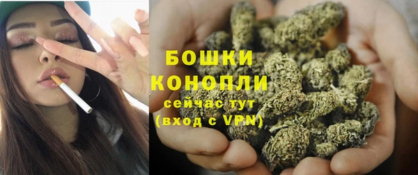 стаф Нея