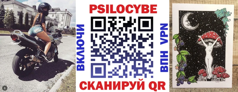 закладки  Павловский Посад  Галлюциногенные грибы Psilocybine cubensis 