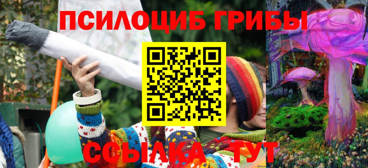 Галлюциногенные грибы Magic Shrooms Павловский Посад