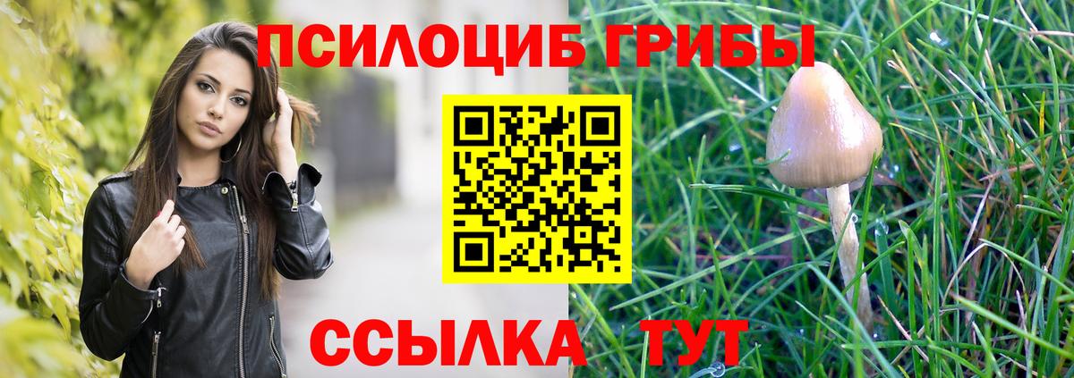 Галлюциногенные грибы GOLDEN TEACHER  Вход с VPN  Галлюциногенные грибы Magic Shrooms  Павловский Посад 