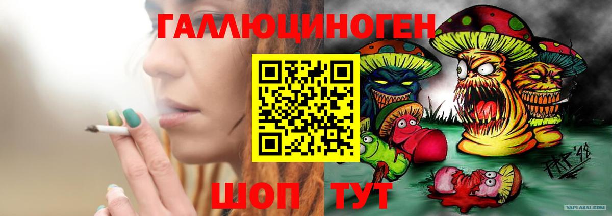 наркошоп  Павловский Посад  Галлюциногенные грибы мицелий 