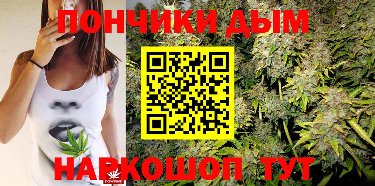 Марихуана гибрид  Каннабис сатива  Марихуана AK-47  Вход с VPN  МАРИХУАНА семена  Павловский Посад 